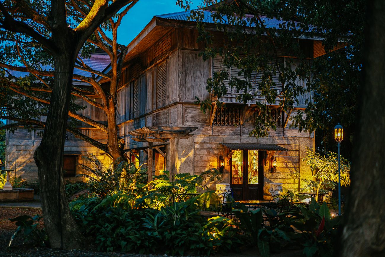 Garden and mature trees glowing with warm uplighting at night