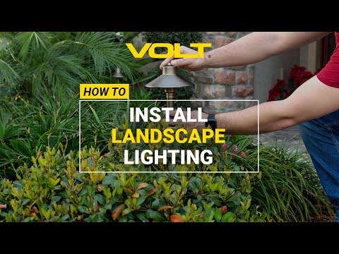 Video preview: how low voltage LED landscape lighting is installed